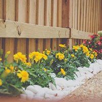 Landscape Marketing