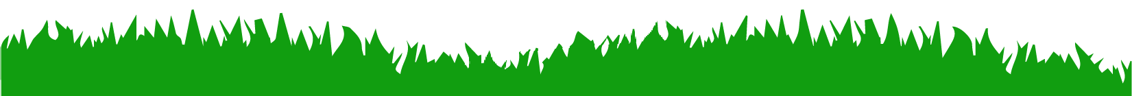 A green wave on a white background that looks like grass.