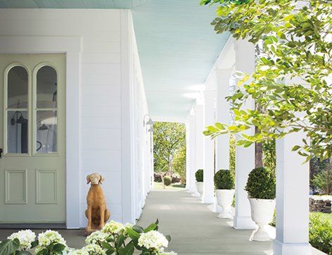 Dog sits on a porch of a white house with sage green door, greenery, and sky-blue ceiling.