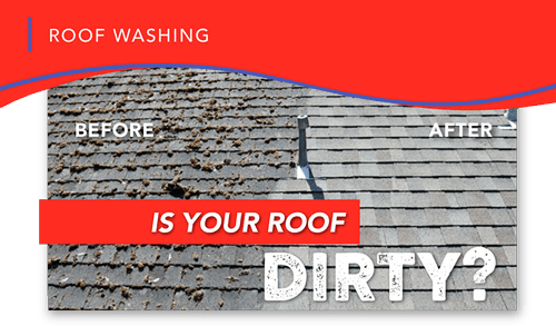 roof cleaning