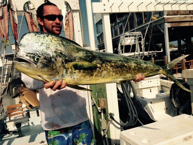 huge fish