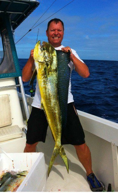 giant fish