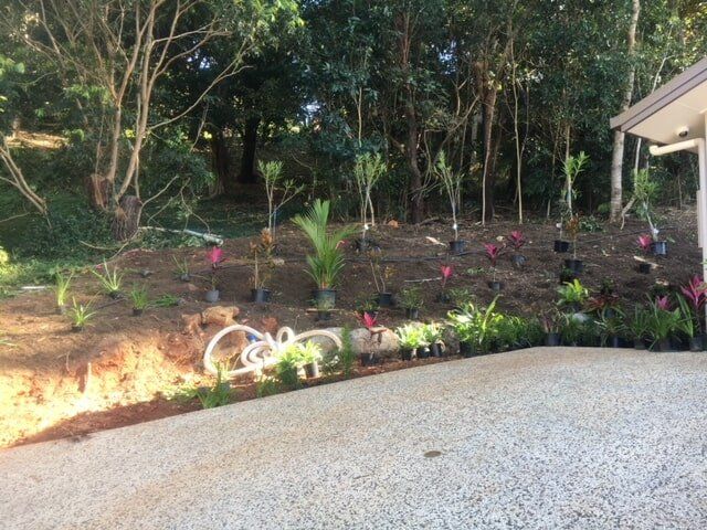 Clean Garden — Trinity Landscape in Cairns, QLD Clean Garden — Trinity Landscape in Cairns, QLD