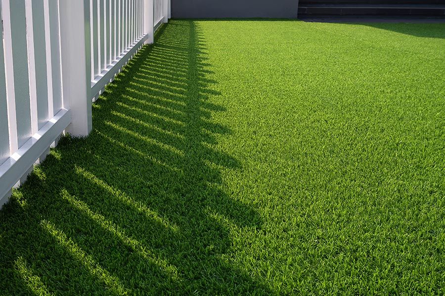 Turf — Trinity Landscape in Cairns, QLD Turf — Trinity Landscape in Cairns, QLD