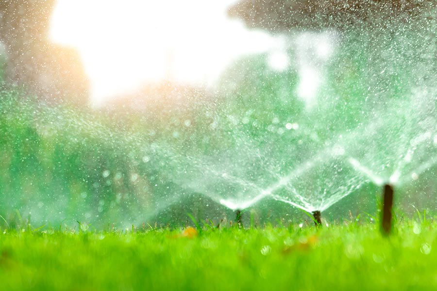 Automatic Lawn Sprinkler — Trinity Landscape in Cairns, QLD Automatic Lawn Sprinkler — Trinity Landscape in Cairns, QLD