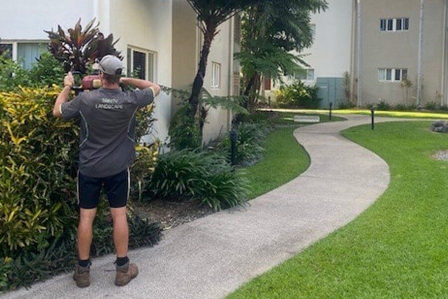 Landscaping Maintenance — Trinity Landscape in Cairns, QLD Landscaping Maintenance — Trinity Landscape in Cairns, QLD