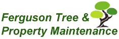 Tree Service Company Greensboro, NC