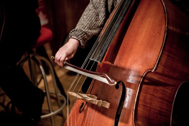 double bass lessons