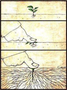 immagine di un germoglio