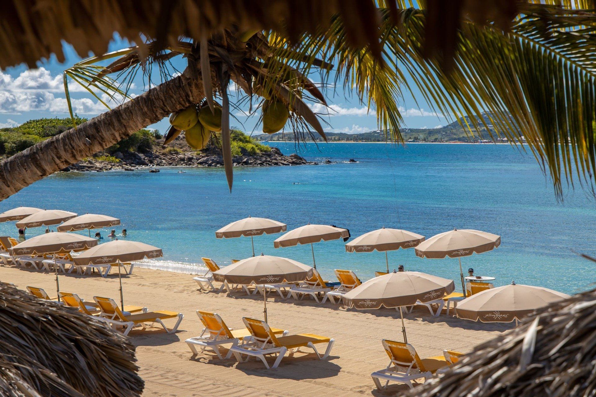 There are many umbrellas and chairs on the beach.