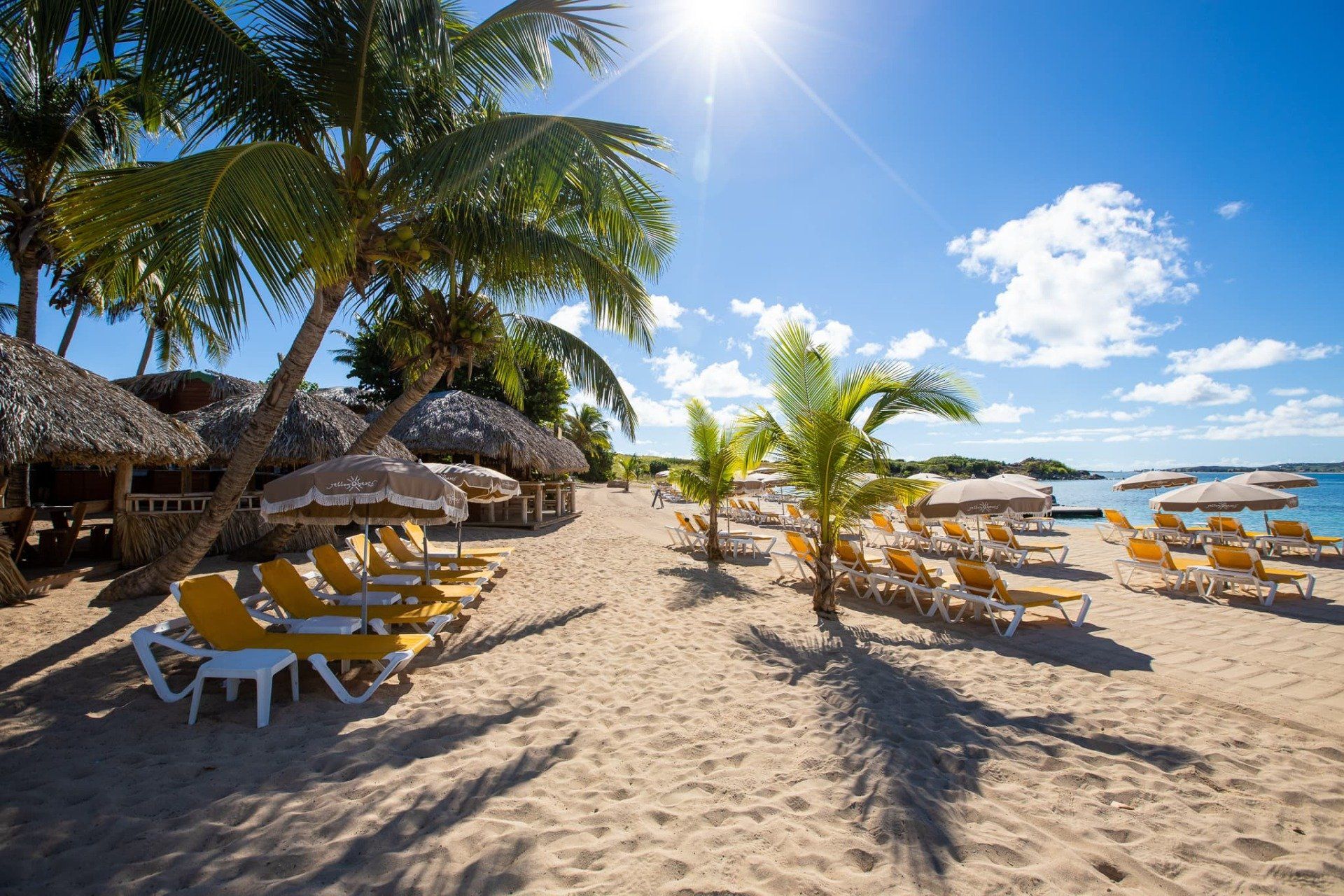 There are many chairs and umbrellas on the beach.