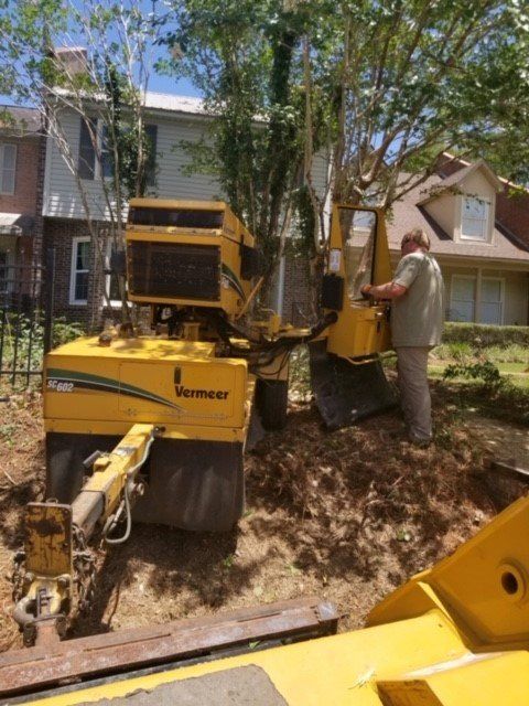 A yellow stump grinder being operated by a person removing a tree stump next to a fence and houses.