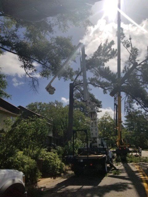 Tree trimmers in a bucket truck cutting branches near power lines on a sunny day.