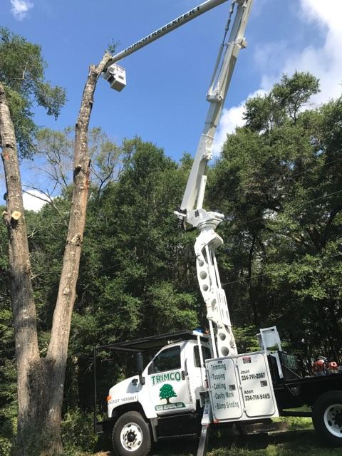 White tree-trimming truck with an extended boom cutting down a tree against a blue sky.
