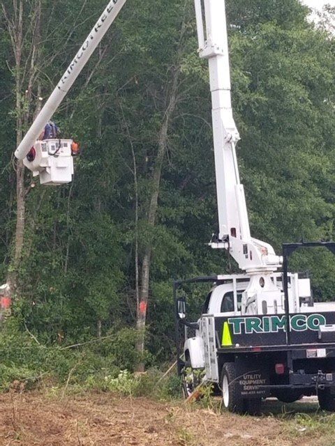 A tree service truck with a worker in a bucket trimming trees in a wooded area.