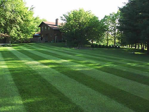 Lawn mowing service for large yards
