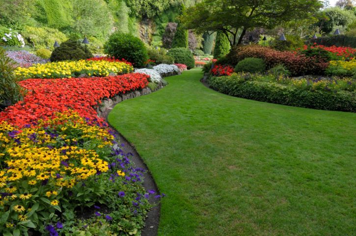 Get your lawn perfect