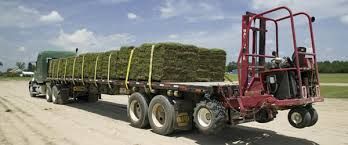 Sod supplier Salt Lake City Utah
