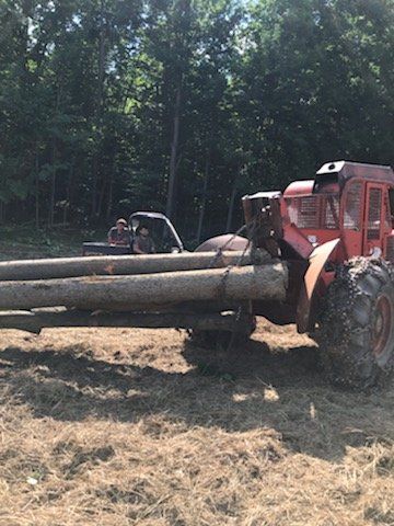 Hickory Wood Chips — Baldwinsville, NY — Shute Landscaping
