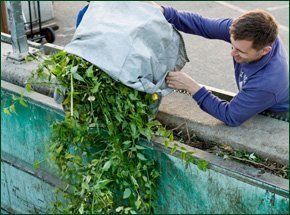 Garden clearance