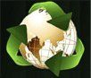 Company icon