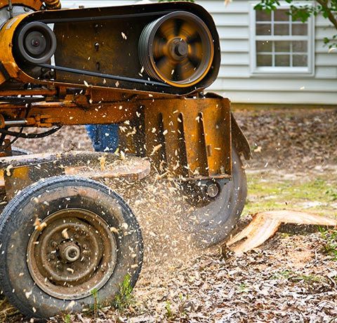 Stump Grinding | Roanoke, VA | Jay's Tree Service Stump Grinding | Roanoke, VA | Jay's Tree Service