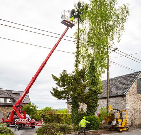 Residential Tree Removal | Roanoke, VA | Jay's Tree Service Residential Tree Removal | Roanoke, VA | Jay's Tree Service