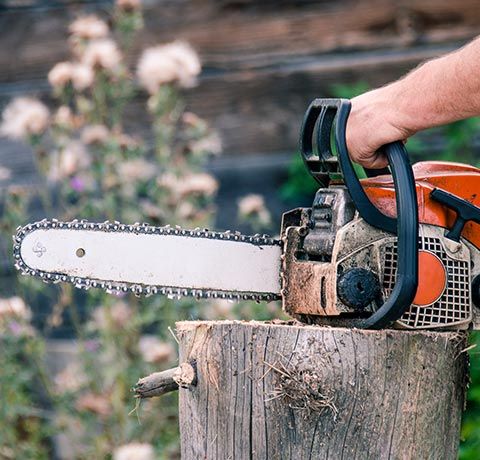 Man Holding a Chainsaw | Roanoke, VA | Jay's Tree Service Man Holding a Chainsaw | Roanoke, VA | Jay's Tree Service