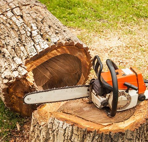 Chainsaw on the Tree Stump | Roanoke, VA | Jay's Tree Service Chainsaw on the Tree Stump | Roanoke, VA | Jay's Tree Service