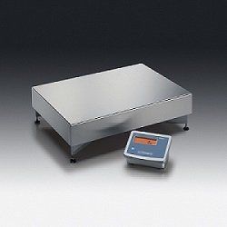 Floor Scale Midrics