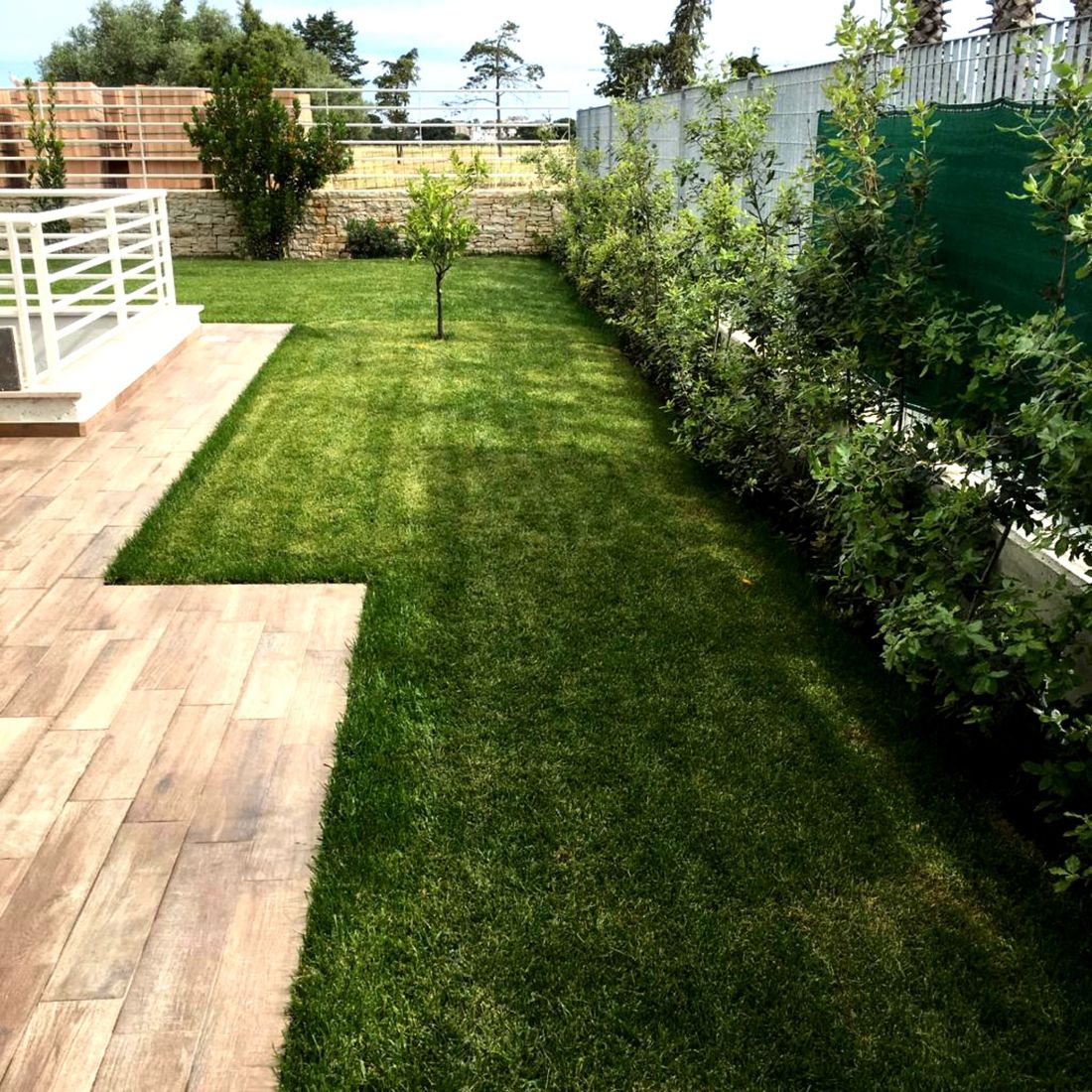 progettazione giardini
