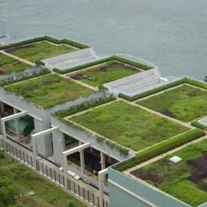 Green roofs on a modern building, near water.