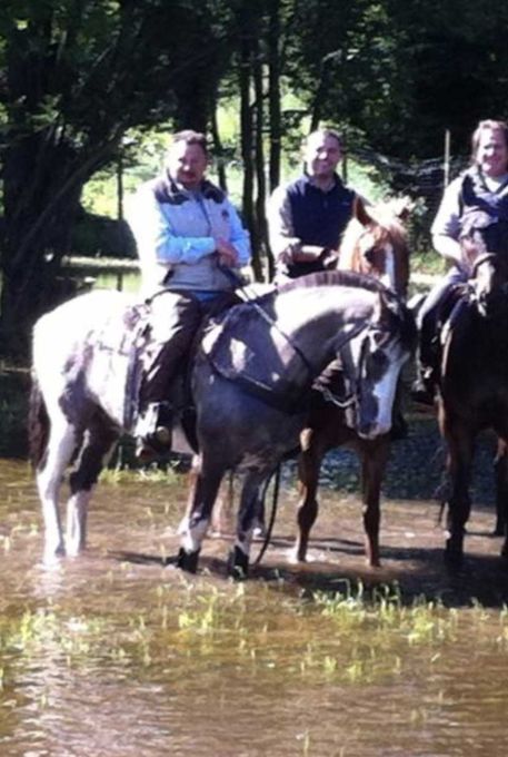 cavalli in riva al fiume