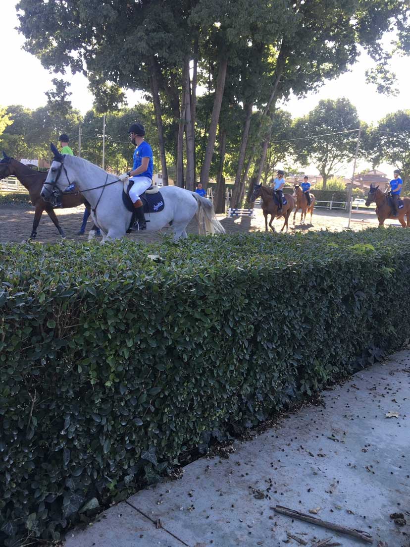 Eventi equitazione
