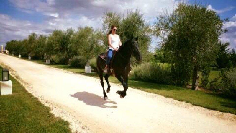 Gite a cavallo