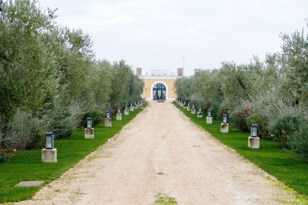 Агротуризм