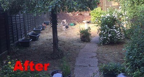 garden