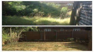 garden clearance