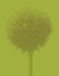 Plant Life Garden Services logo