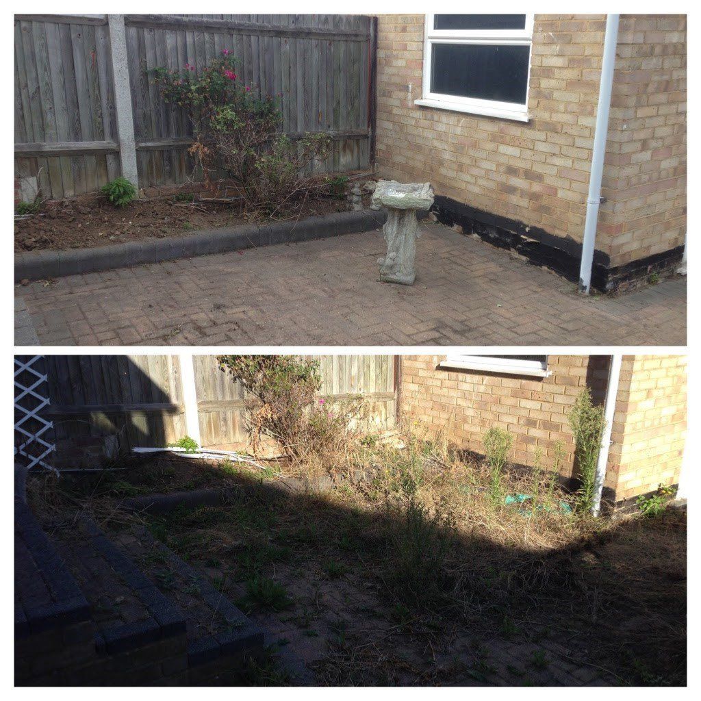 lawn renovation
