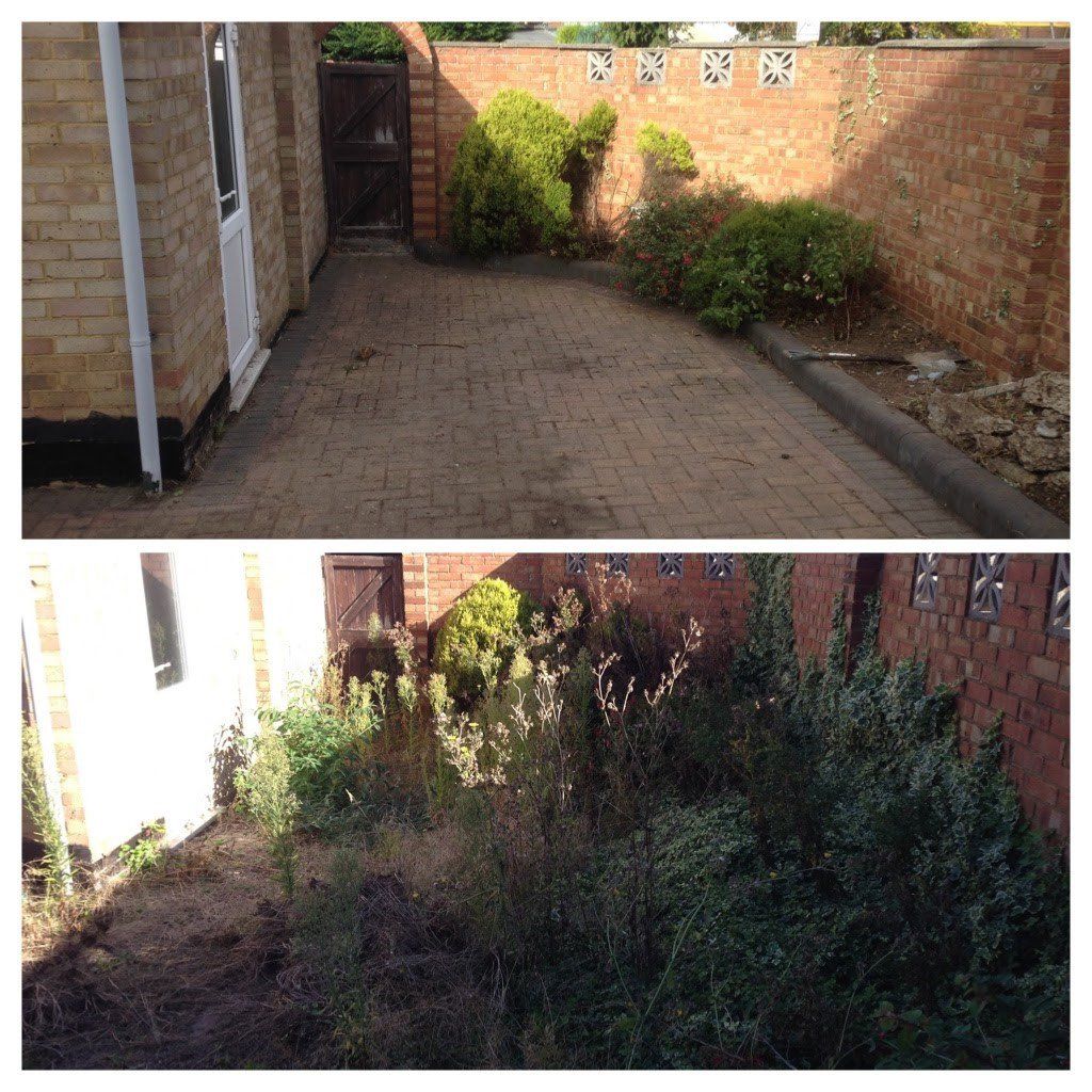 garden clearance