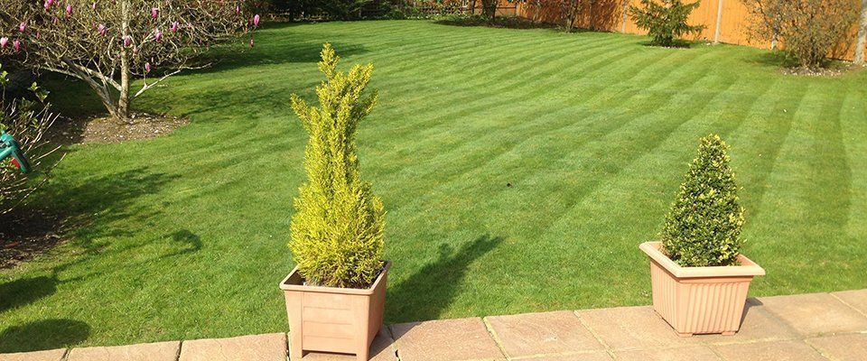 garden maintenance
