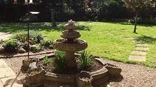garden pond