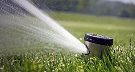 water sprinklers