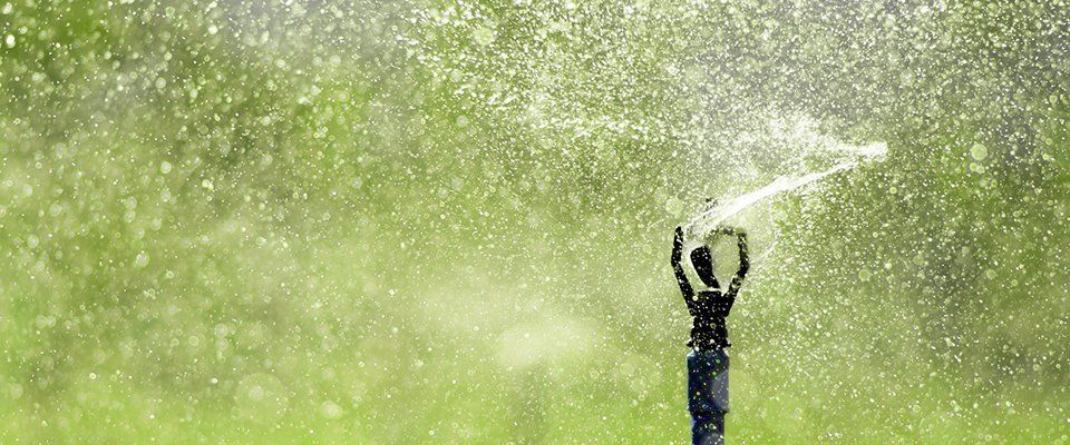 watering systems
