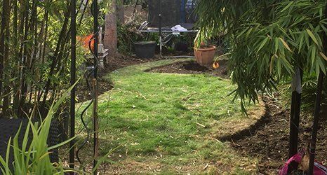 garden clearance