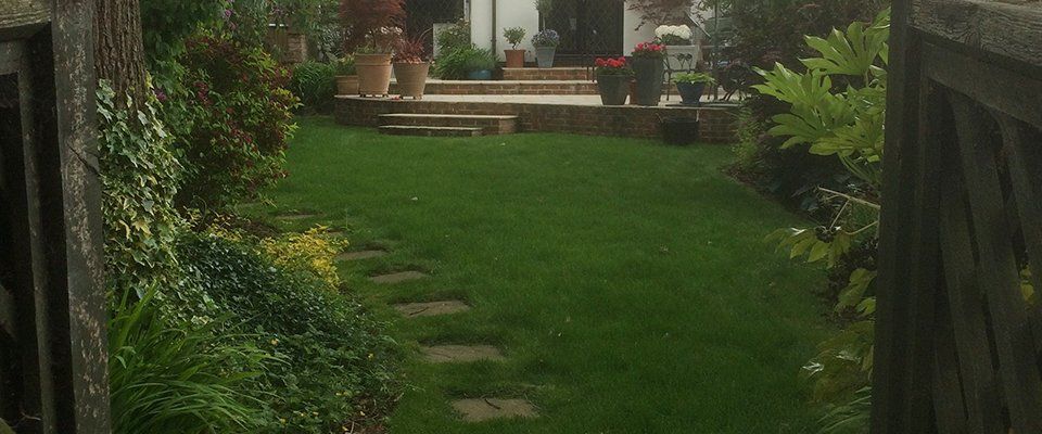 garden landscape