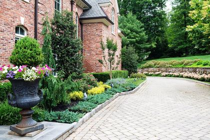 Professional Landscape Services