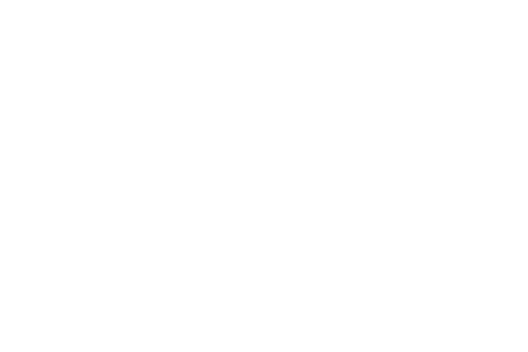 A white background with a few lines on it