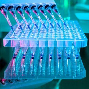 DNA analysis - Social services in Little Falls, MN